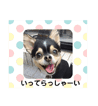 あいらぶランディ（個別スタンプ：14）