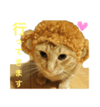 すーぷーのまいにち（個別スタンプ：3）