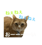 すーぷーのまいにち（個別スタンプ：4）