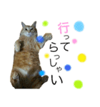すーぷーのまいにち（個別スタンプ：6）