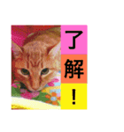 すーぷーのまいにち（個別スタンプ：7）