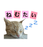 すーぷーのまいにち（個別スタンプ：10）