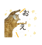 すーぷーのまいにち（個別スタンプ：11）