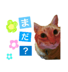 すーぷーのまいにち（個別スタンプ：12）