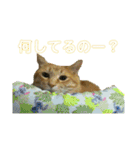 すーぷーのまいにち（個別スタンプ：14）