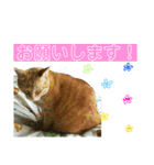 すーぷーのまいにち（個別スタンプ：19）
