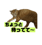 すーぷーのまいにち（個別スタンプ：23）
