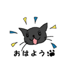 ねこぐらし（個別スタンプ：1）
