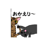 ねこぐらし（個別スタンプ：5）