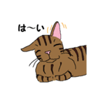 ねこぐらし（個別スタンプ：7）