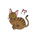 ねこぐらし（個別スタンプ：11）