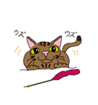 ねこぐらし（個別スタンプ：12）