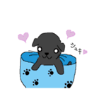 ねこぐらし（個別スタンプ：14）