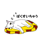 ねこぐらし（個別スタンプ：16）