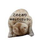 Chimnyの愉快な日常（個別スタンプ：8）