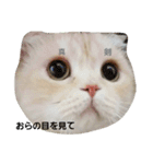 Chimnyの愉快な日常（個別スタンプ：11）