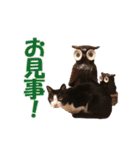 白黒猫ミュウ2（個別スタンプ：19）