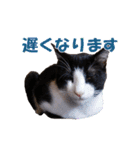 白黒猫ミュウ2（個別スタンプ：25）