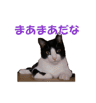 白黒猫ミュウ2（個別スタンプ：35）