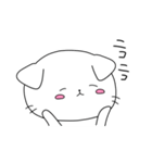 たれみみねこ（個別スタンプ：11）