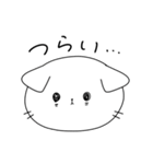 たれみみねこ（個別スタンプ：17）