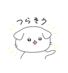 たれみみねこ（個別スタンプ：20）