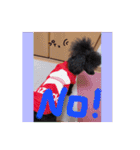 日常会話ンコ（個別スタンプ：8）