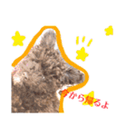 日常会話ンコ（個別スタンプ：11）