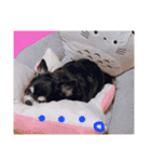 日常会話ンコ（個別スタンプ：18）