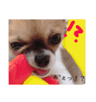 日常会話ンコ（個別スタンプ：23）