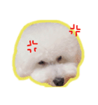 ぼく、ぽむ男（個別スタンプ：3）