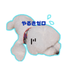 ぼく、ぽむ男（個別スタンプ：4）
