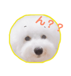 ぼく、ぽむ男（個別スタンプ：6）