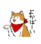 ご主人大好き犬-ジョンと鮫次郎5-（個別スタンプ：10）