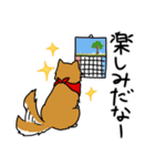 ご主人大好き犬-ジョンと鮫次郎5-（個別スタンプ：11）