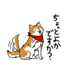 ご主人大好き犬-ジョンと鮫次郎5-（個別スタンプ：15）