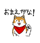 ご主人大好き犬-ジョンと鮫次郎5-（個別スタンプ：28）