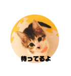 ベビー福（個別スタンプ：2）