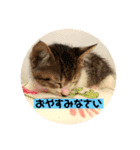 ベビー福（個別スタンプ：6）
