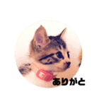 ベビー福（個別スタンプ：7）