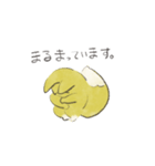 キクキツネ（個別スタンプ：40）