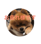 デカポメぽん太2（個別スタンプ：7）