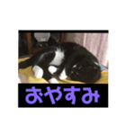 みう2（個別スタンプ：2）