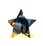 みう2（個別スタンプ：5）