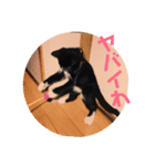 みう2（個別スタンプ：6）