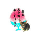 こねこ☆すたんぷ 9（個別スタンプ：13）