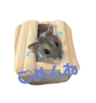 ハムスターのティム＆メルと犬のティガ（個別スタンプ：3）