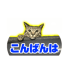 鯖トラ猫みかんのスタンプ（個別スタンプ：3）