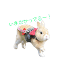 豆助とみずき（個別スタンプ：1）