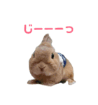 豆助とみずき（個別スタンプ：2）